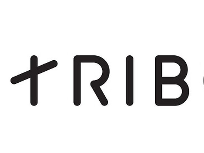 Triboo: André Schmidt succede a Malguzzi nella carica di presidente