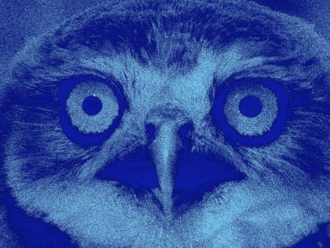 BLU OWL CAPITAL, l’OMBRA SUBPRIME!