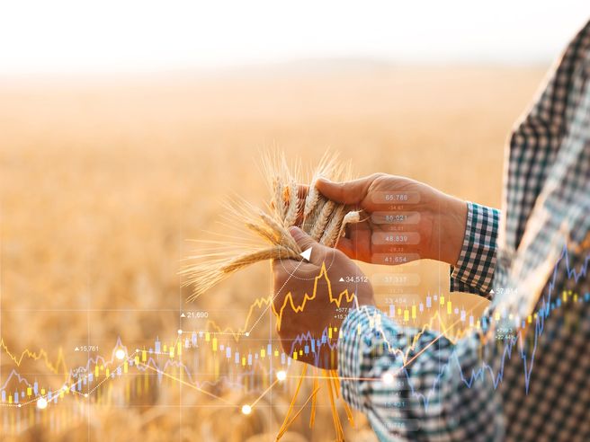Commodity della settimana: grano, tra siccità e timori sui costi agricoli