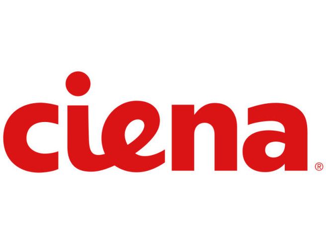 Ciena: profondo rosso per il titolo, pesano conti e guidance