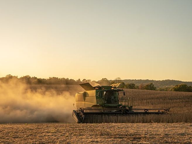 Commodity della settimana: soia, trend positivo ma i fondamentali richiamano alla cautela