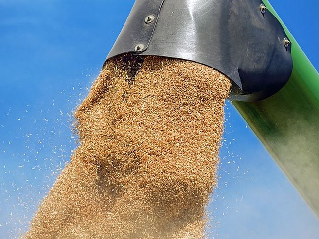 Basf: via libera condizionato della Commissione Ue per acquisto attività da Bayer