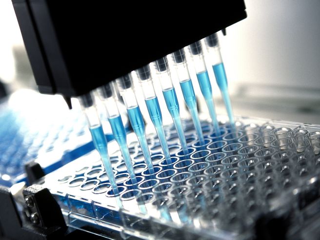 Novartis, utile netto in calo del 13% nel primo trimestre 2026