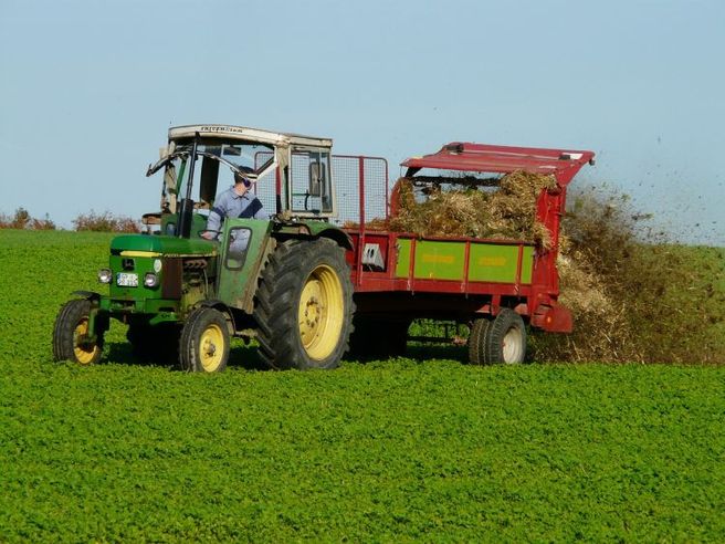Agromafia: un business da 24,5 mld a tavola (+12%)