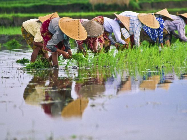 Indonesia alza tassi a sorpresa, prima stretta dal 2011