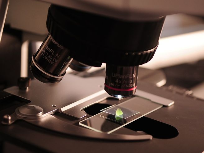MolMed: contratto per la commercializzazione di Zalmoxis in alcuni Paesi asiatici