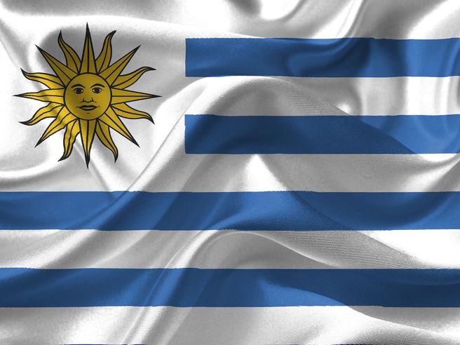 Terna: finanziamento da 56 mln $ per la costruzione di una linea in Uruguay
