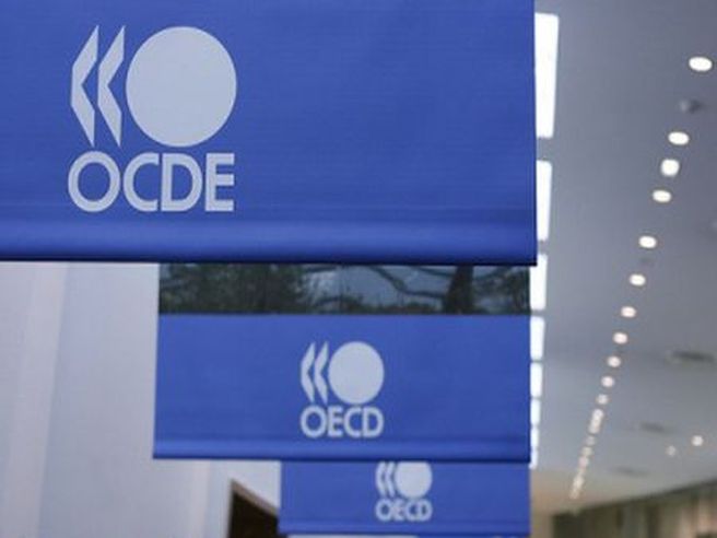 Ocse: crescita Paesi area +0,6% nel quarto trimestre 2013, in Italia +0,1%