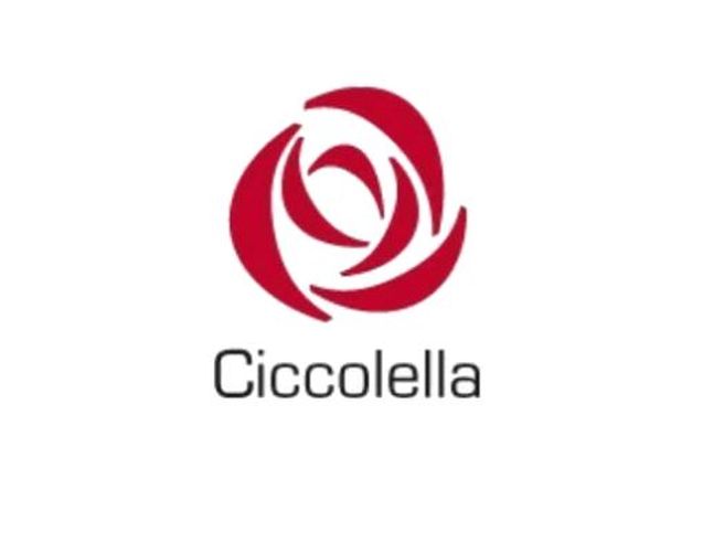 Ciccolella: azioni sospese a tempo indeterminato