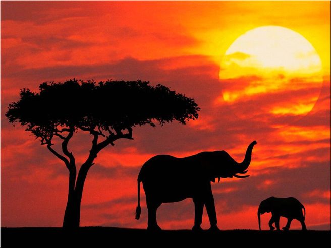 Africa: Moody’s assegna rating a Kenya, Nigeria e Zambia per la prima volta