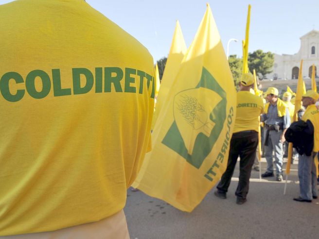 Dazi: Coldiretti, escalation impatta anche su quotazioni prodotti agricoli