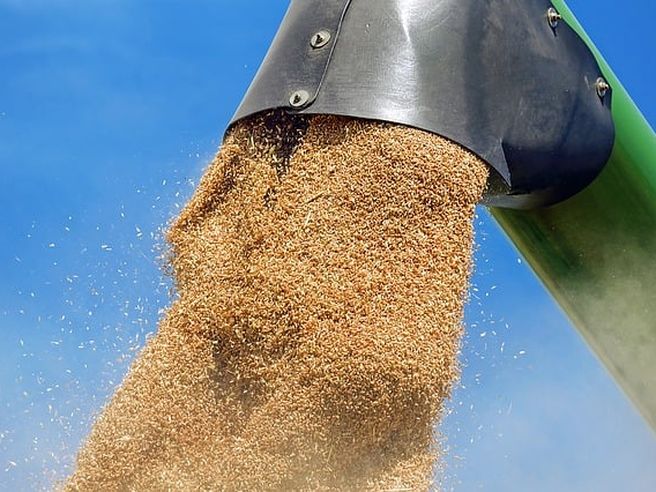 Boom commodities: indice prezzi prodotti agricoli +72,3% ad aprile, balzo futures mais record da 1988