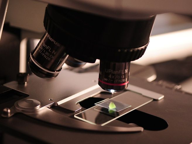 MolMed: depositata domanda per immissione in commercio di antitumorale