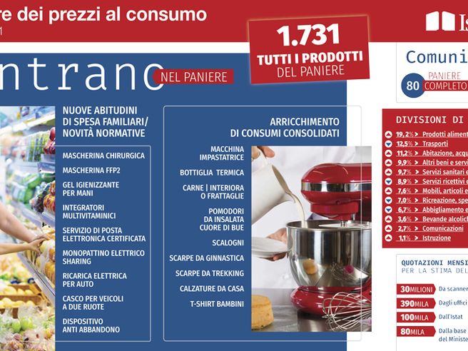 Cambia il paniere Istat 2021: dentro mascherine, gel e monopattini sharing, nessuna uscita