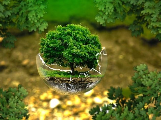 Green bond: il mercato delle obbligazioni verde supererà 1 trilione $ nel 2021, ecco perché