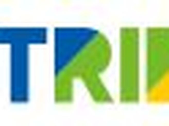 Triboo Media: primo trimestre con redditività in aumento, utile sale del 16%