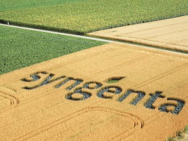 Syngenta nel mirino di Basf: in arrivo nuova offerta dopo quella di Monsanto?