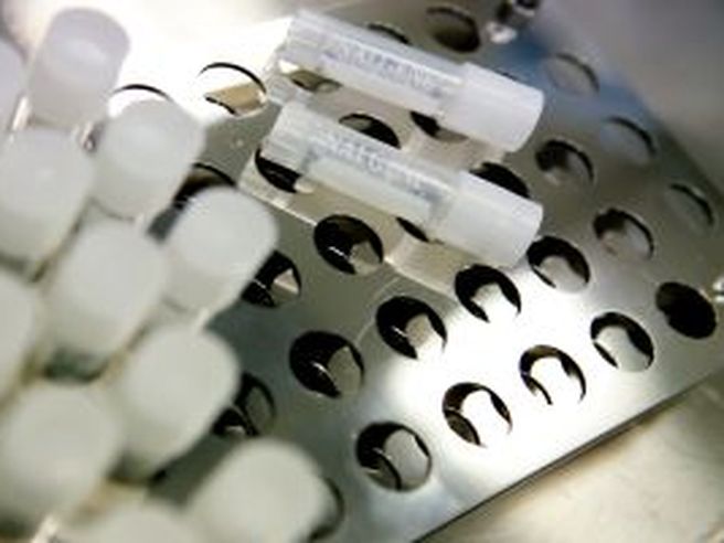 MolMed: scaduto il periodo di proroga, nessuna altra lista presentata per assemblea 18 aprile