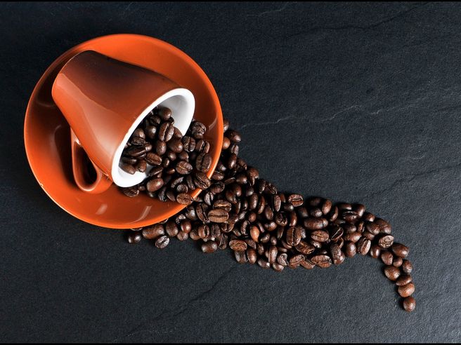 illycaffè aumento dei ricavi dell’11% nel primo semestre 2025