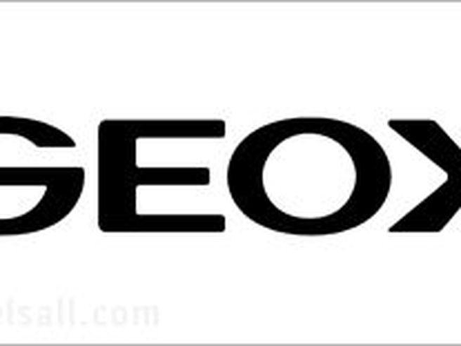 Geox: Mascazzini nuovo Ad, ricavi 2017 a 884,5 milioni